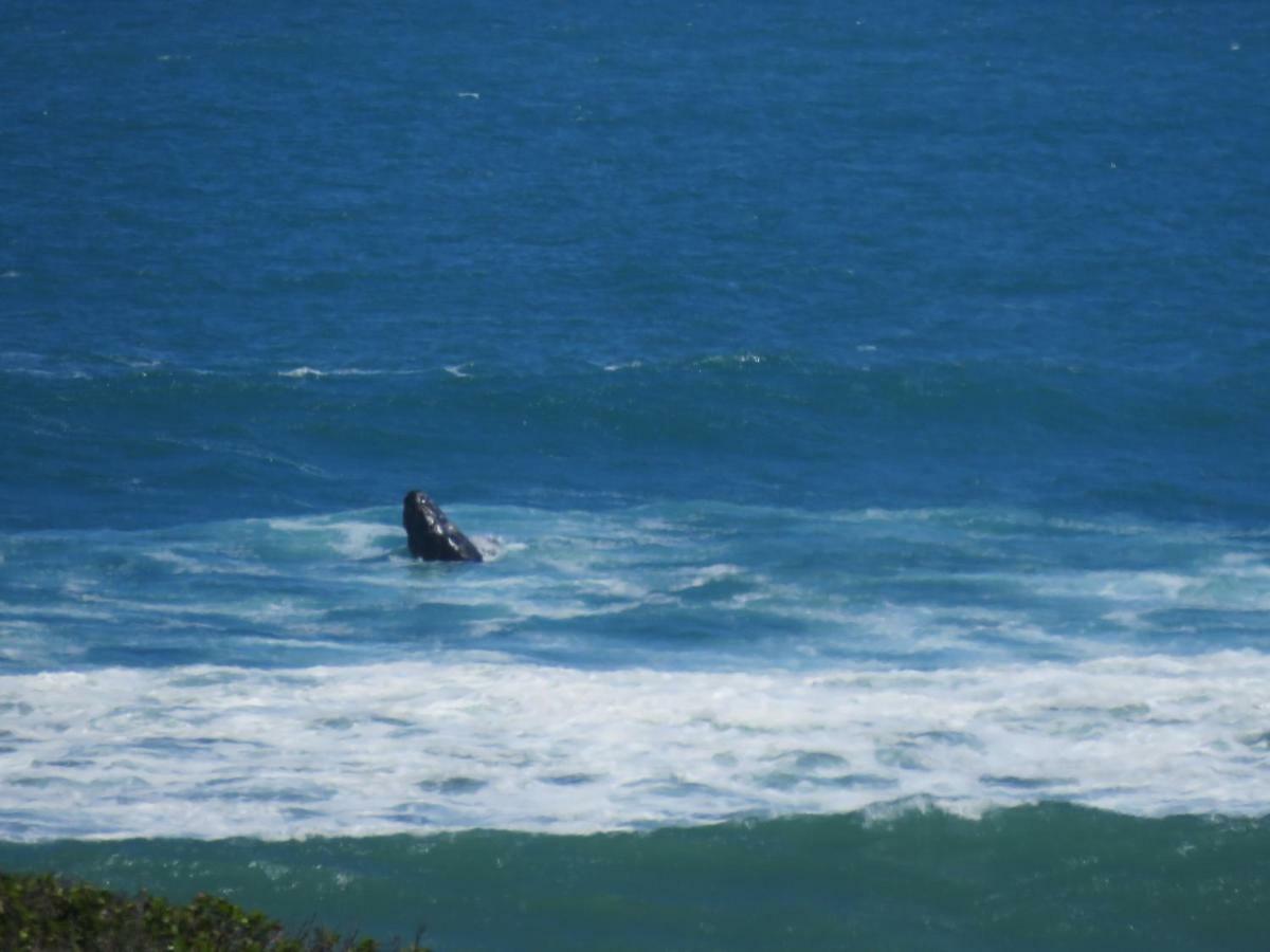 Troon Beach Cottage Hermanus Εξωτερικό φωτογραφία