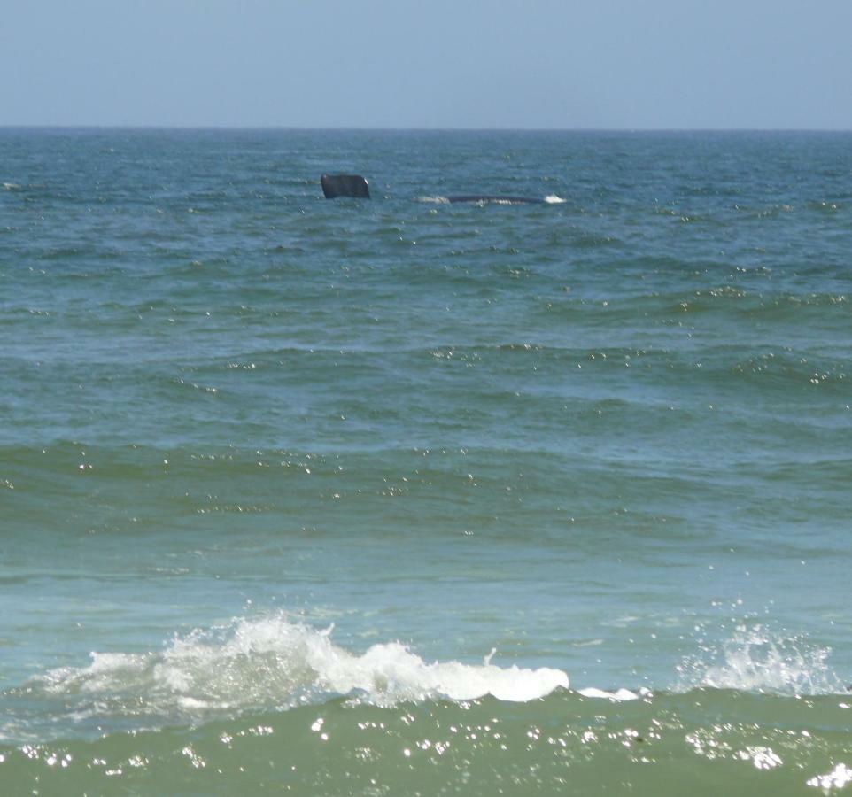 Troon Beach Cottage Hermanus Εξωτερικό φωτογραφία
