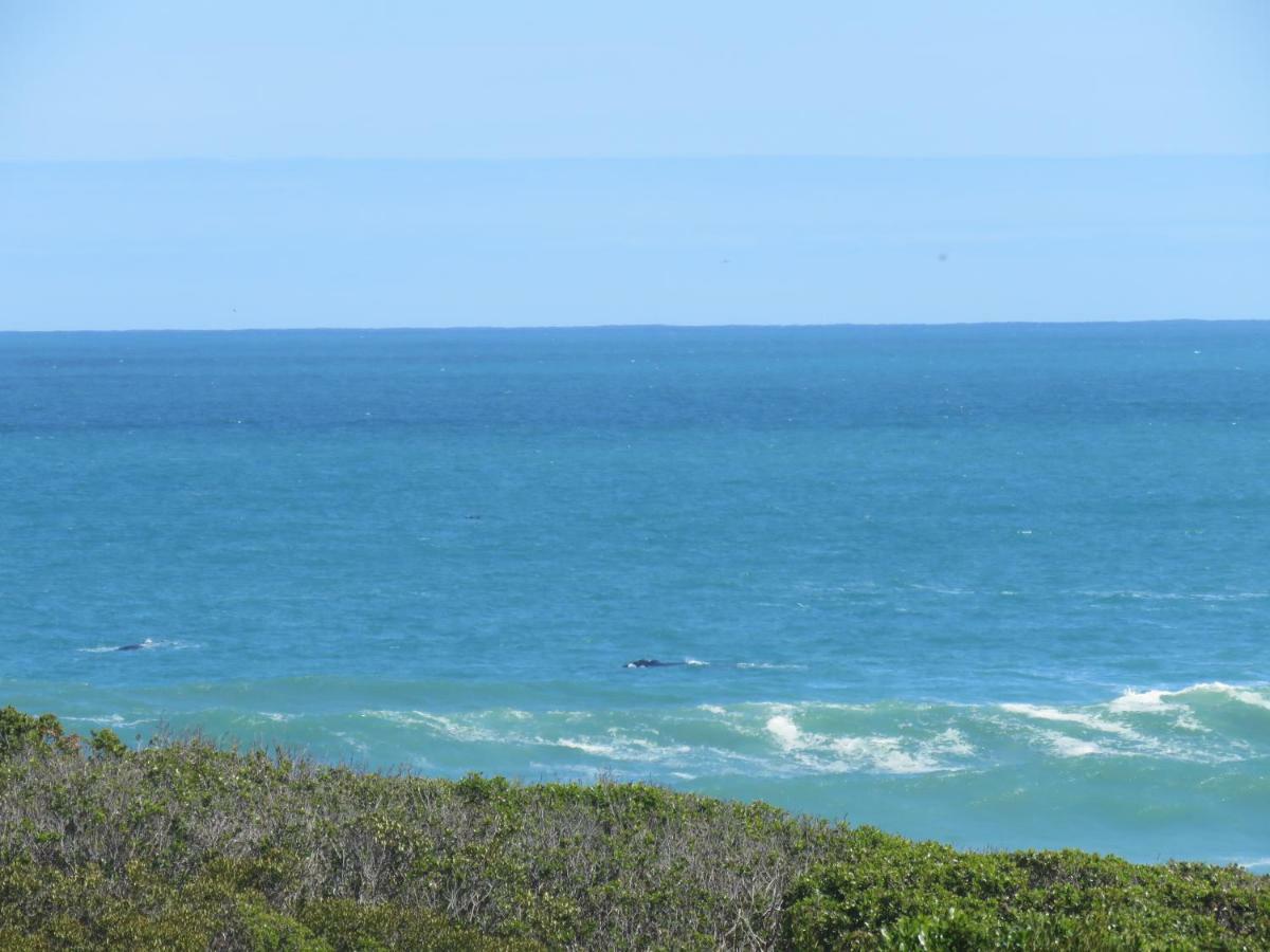 Troon Beach Cottage Hermanus Εξωτερικό φωτογραφία