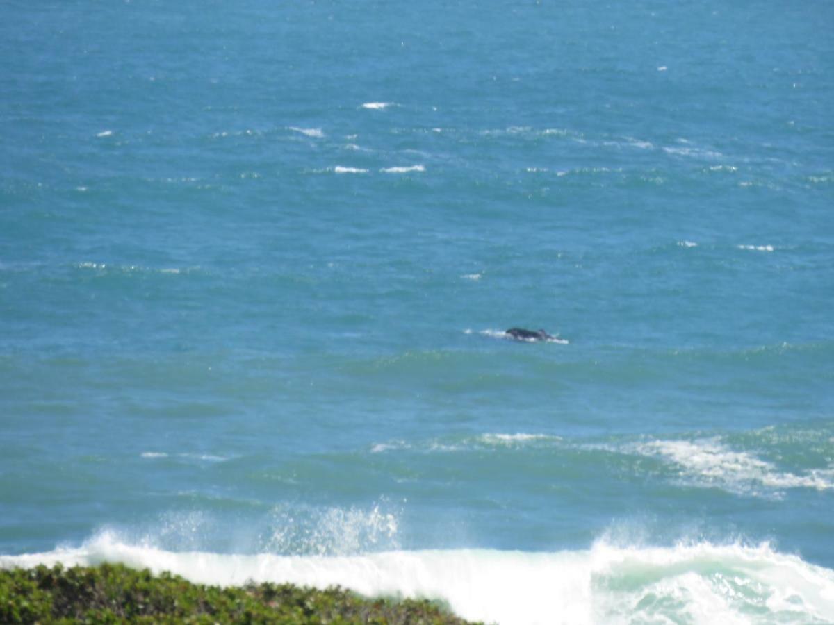 Troon Beach Cottage Hermanus Εξωτερικό φωτογραφία