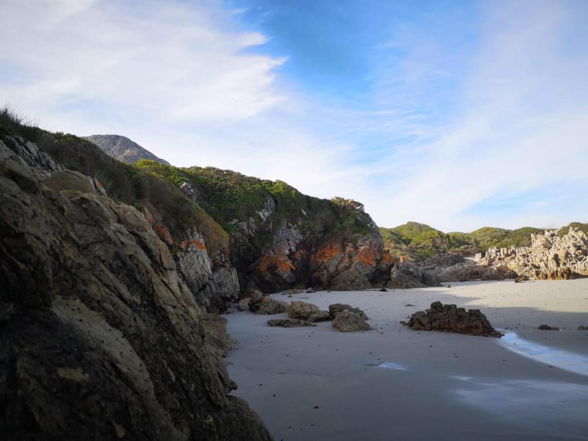 Troon Beach Cottage Hermanus Εξωτερικό φωτογραφία