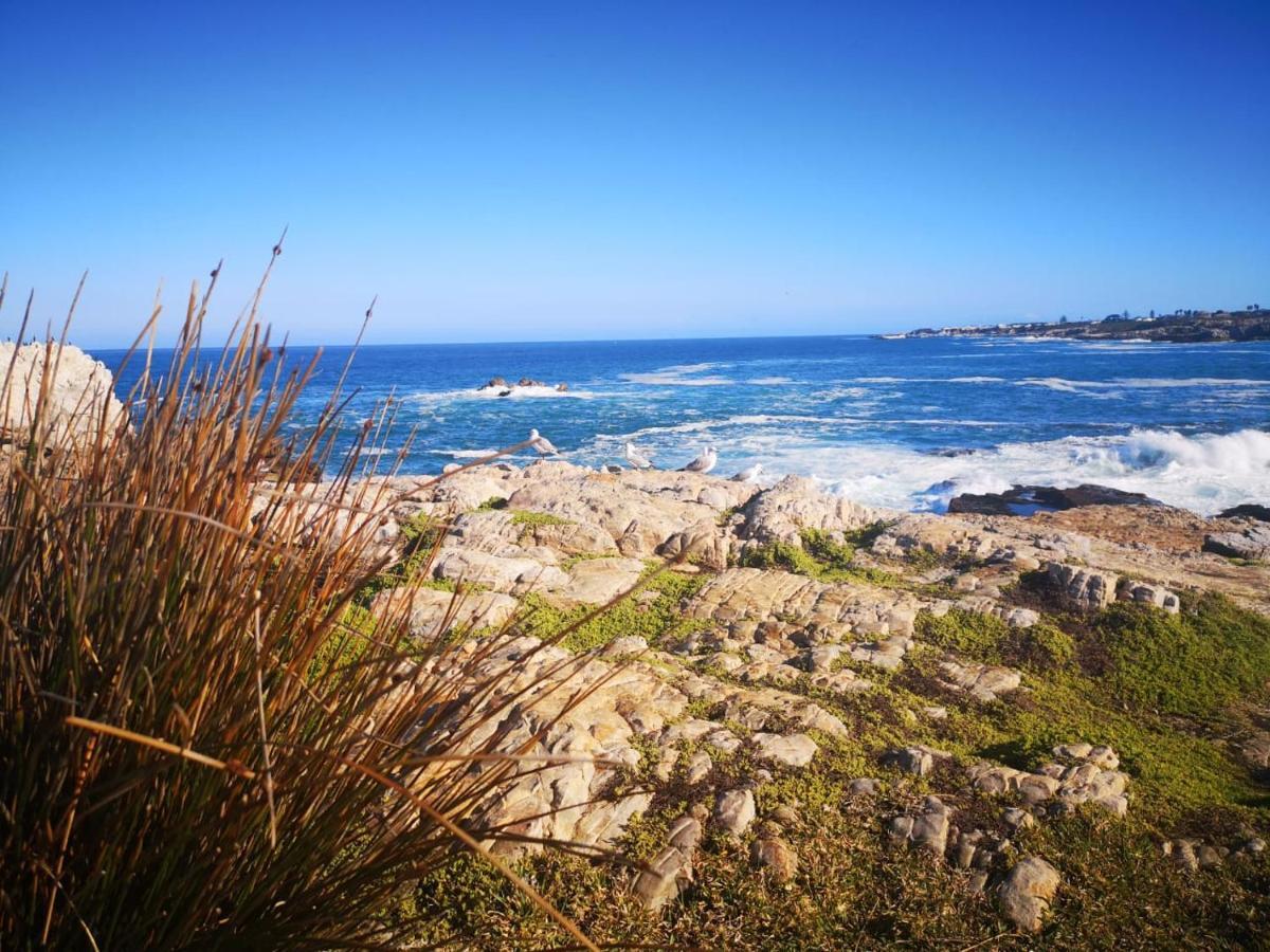 Troon Beach Cottage Hermanus Εξωτερικό φωτογραφία